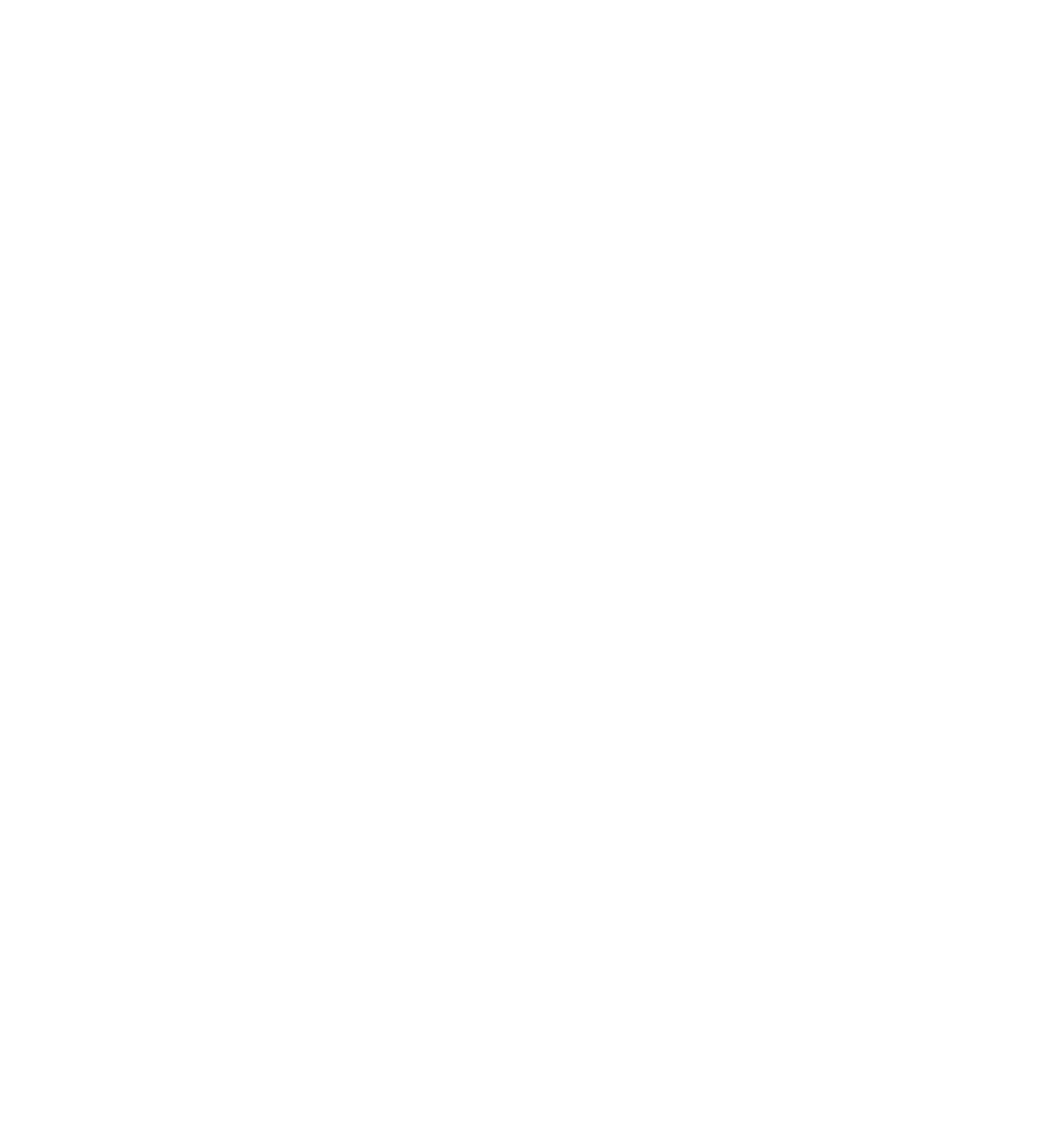 Full white – Original logo (transparent)